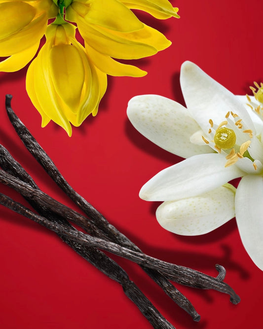 I Love You, Beautiful Moisturizing Whipped Body Butter