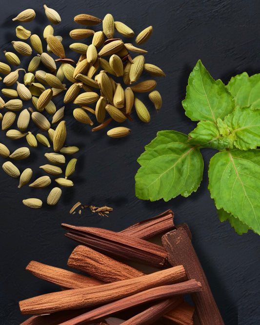 Be Gentle, Beautiful Pamper Me Trio