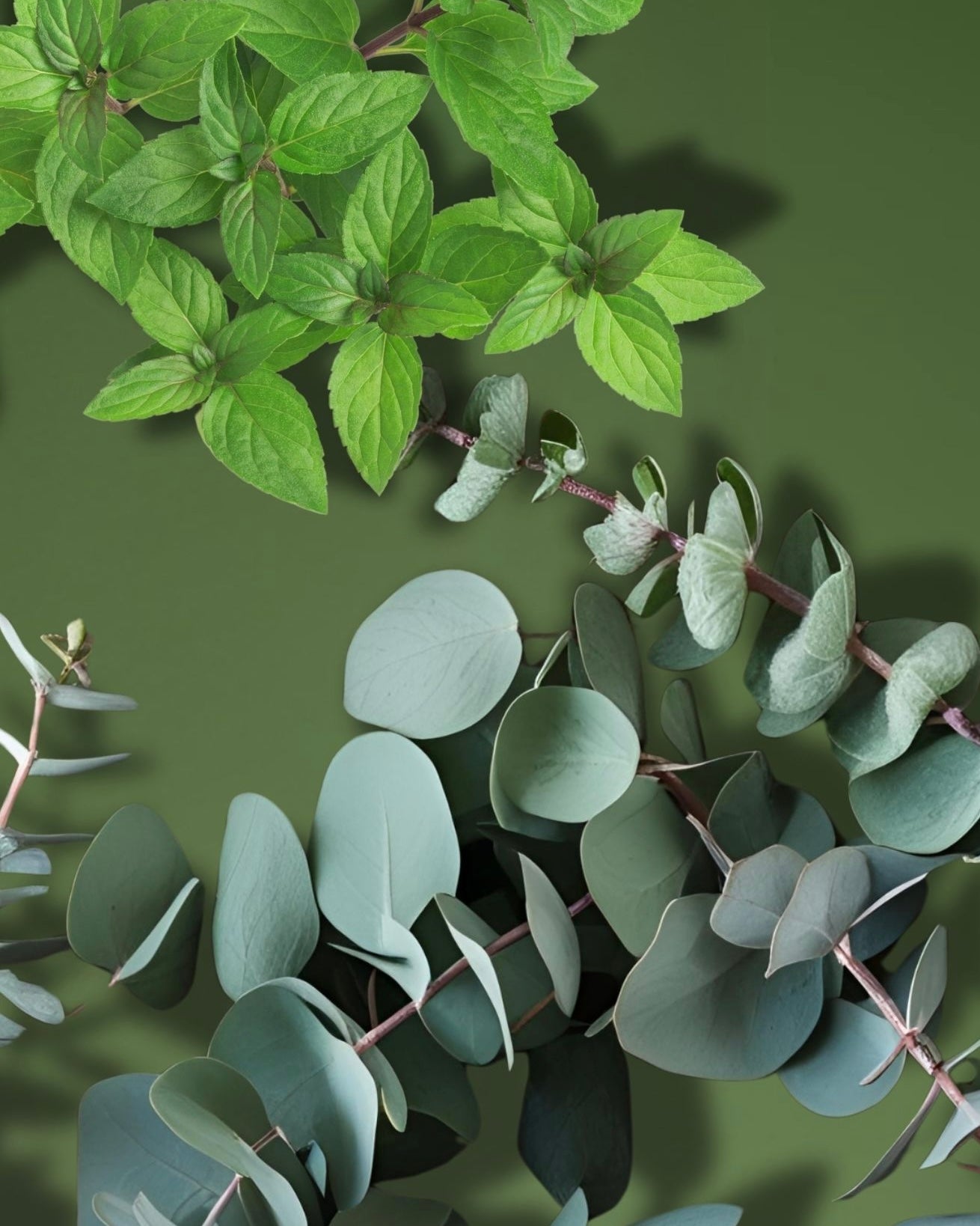 Relax, Beautiful Exfoliating Body Scrub