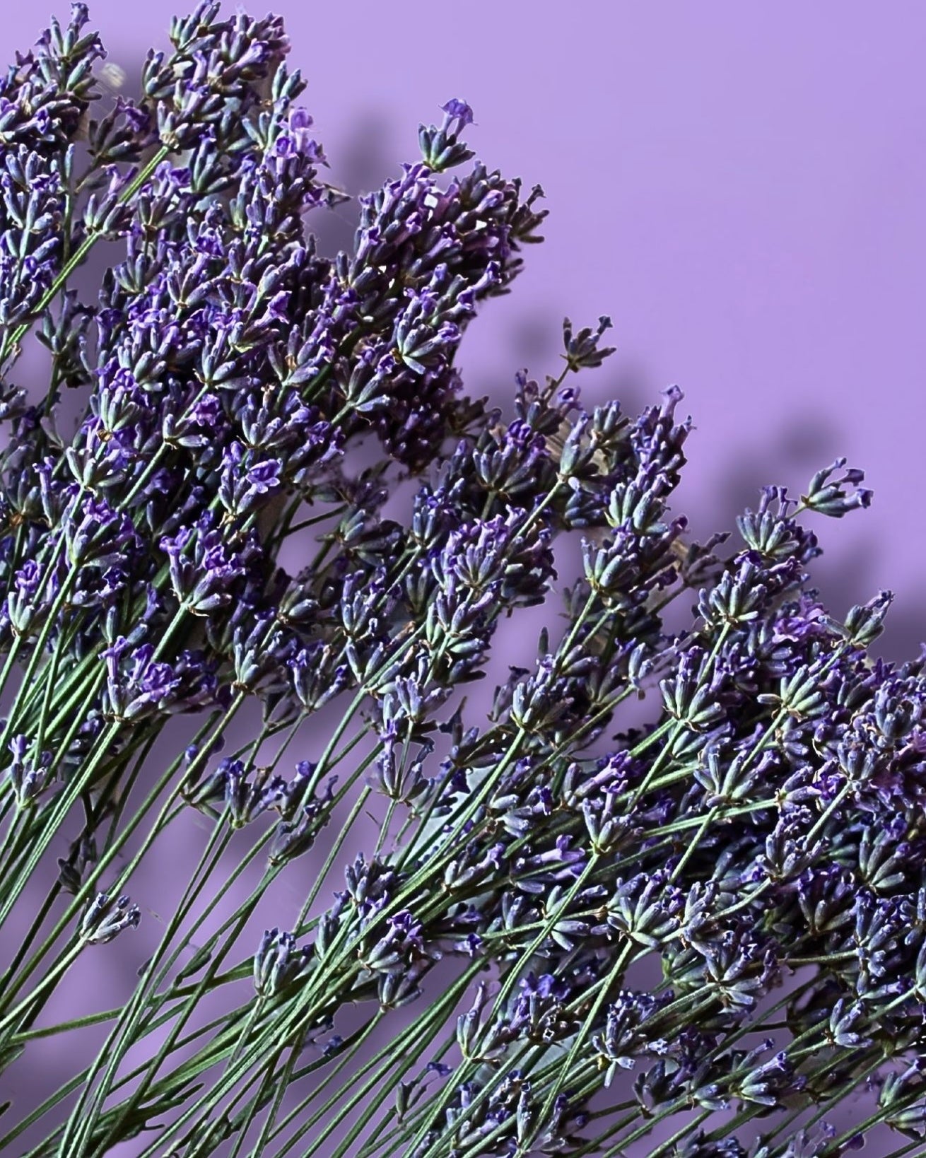 Good Night, Beautiful Travel Hydrating Body Wash